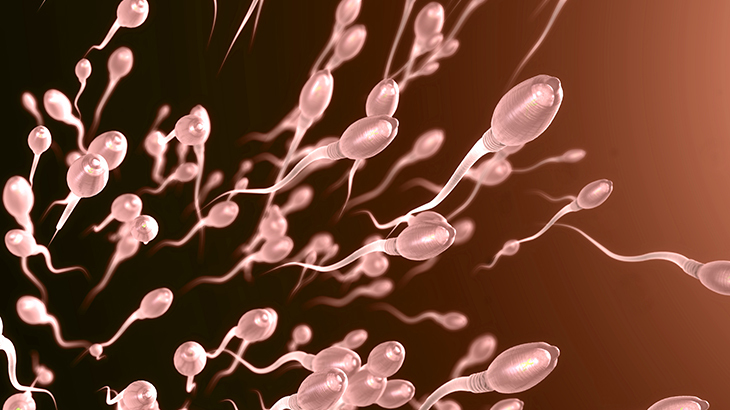 Sperm Sayısı Nasıl Artar?